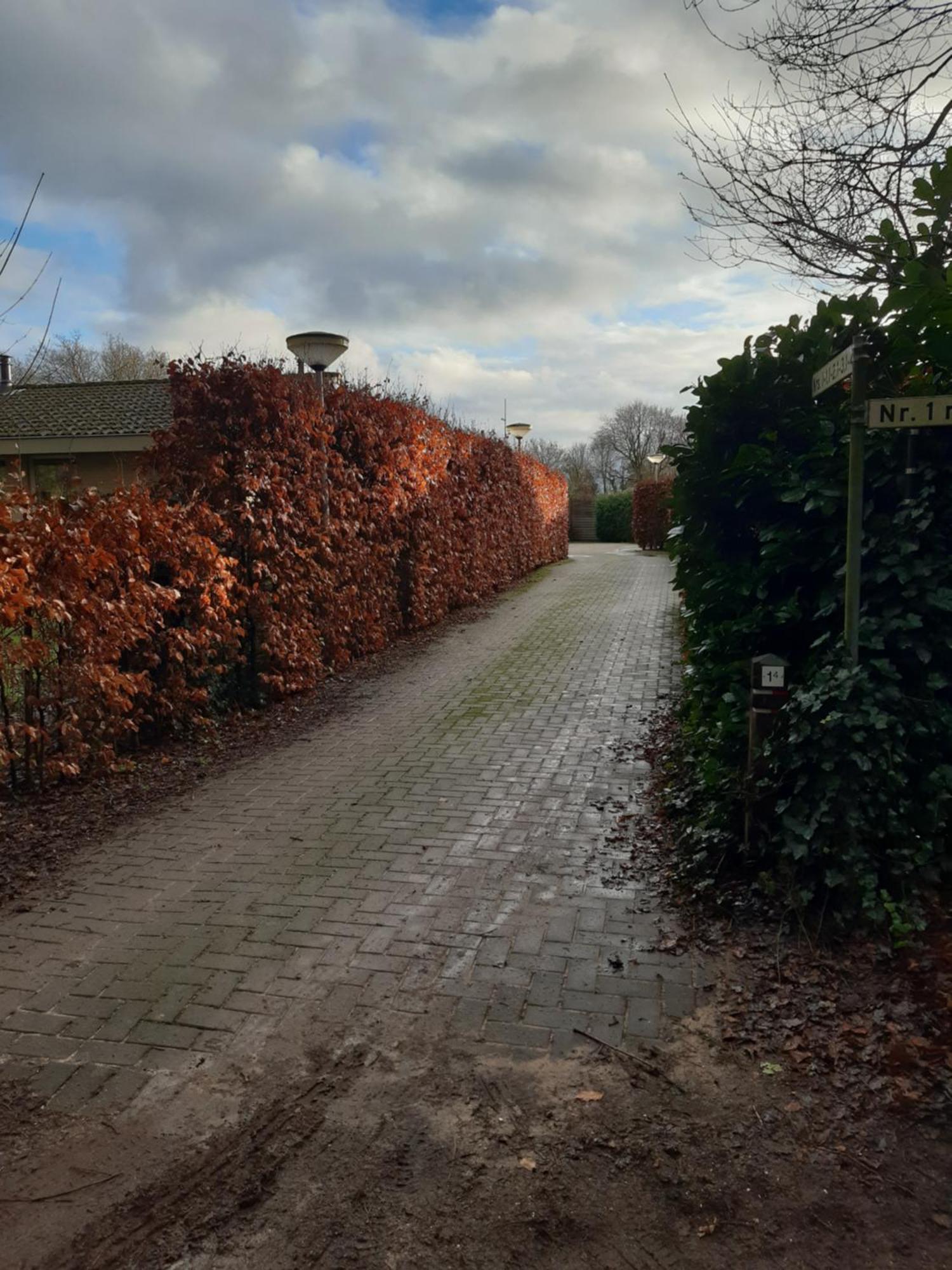 Huinerhofje 3 - Vrijstaand, Grote Tuin, Rust En Veel Privacy Nabij Uitgestrekte Bossen Villa Putten Exterior photo